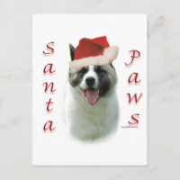 Akita Santa tassar