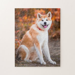 Akita sitta pussel