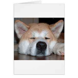 akita sov.png hälsningskort