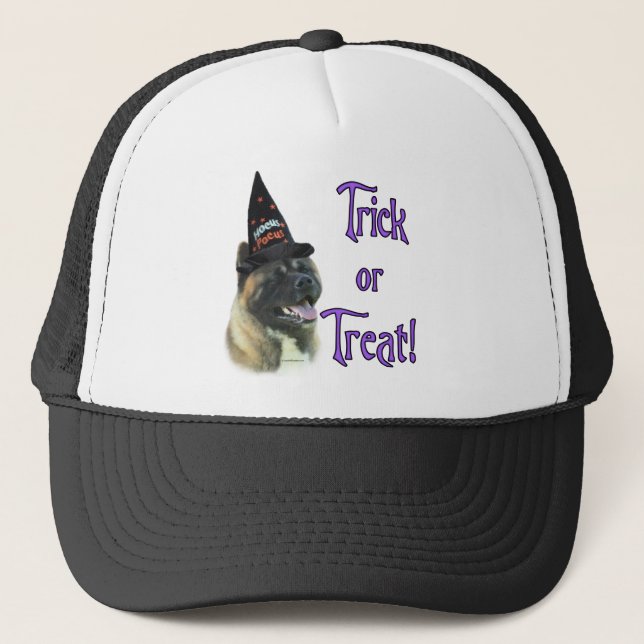 Akita Trick Keps (Framsida)