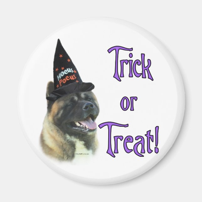 Akita Trick Magnet (Framsidan)