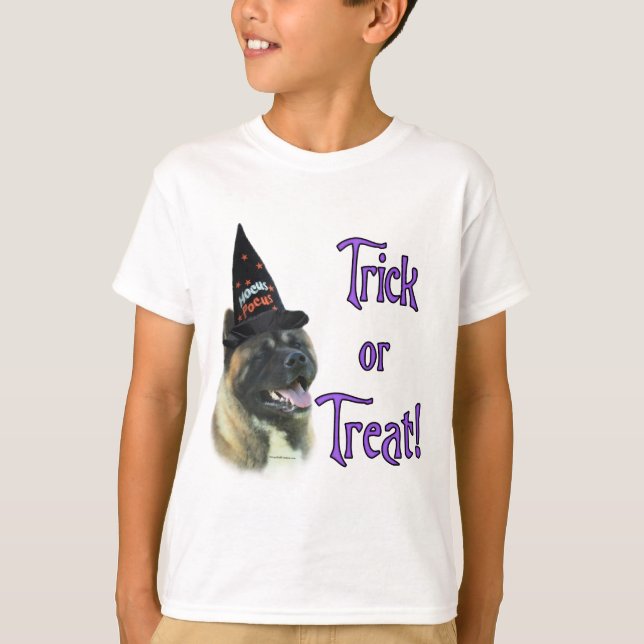 Akita Trick Tee (Framsida)