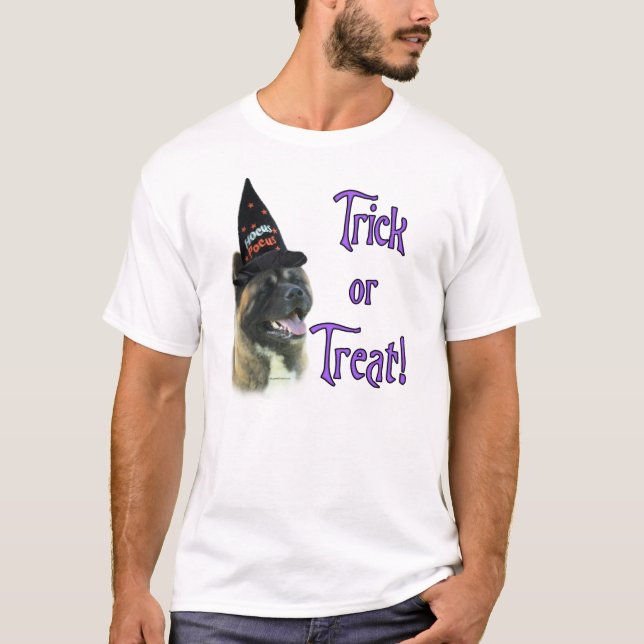 Akita Trick Tee (Framsida)