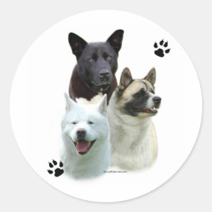 Akita Trio - Sticker Runt Klistermärke