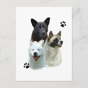 Akita Trio Vykort
