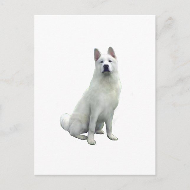 Akita - Vit Vykort (Framsida)