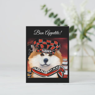 AKITA VYKORT
