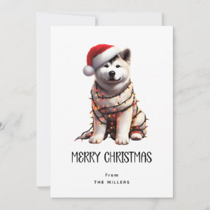 Akita Wrapped in jul Light God jul Julkort