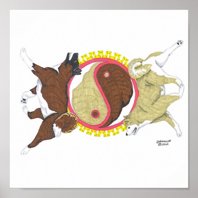 akita yin och yang 2 poster (Framsidan)