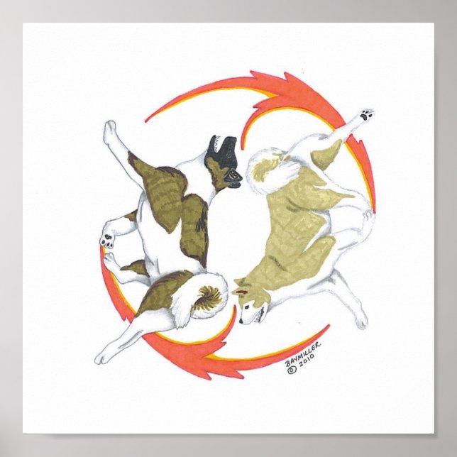 akita yin och yang poster (Framsidan)