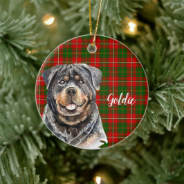 Akkurat vattenfärg Rottweiler Hund Personlig Julgransprydnad Keramik