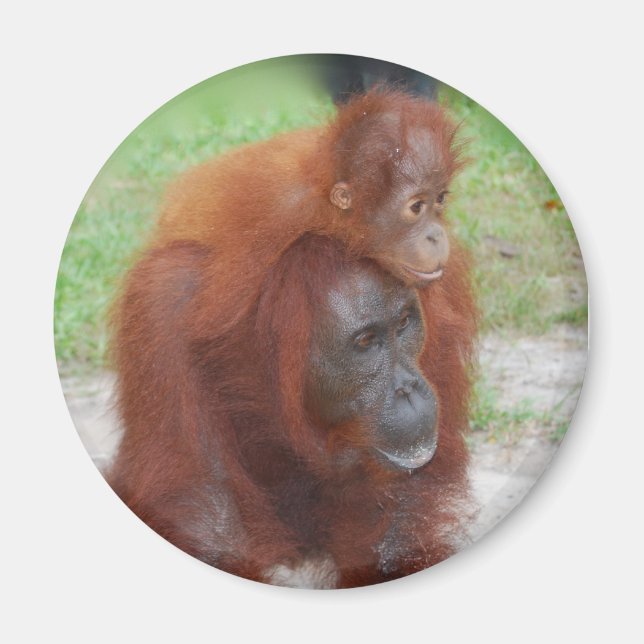 Akmad och Pojke Magnet (Framsidan)