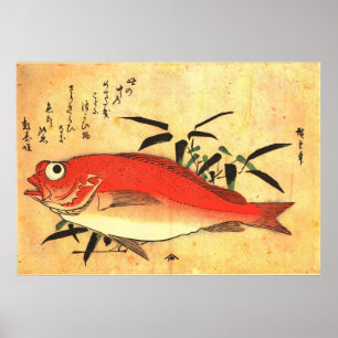 Akodai - Hiroshiges färgstarka japanska fiskutskri Poster