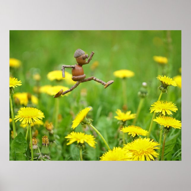 Akorn Elf-hoppet på dandelioner på ängsstadiet Poster (Framsidan)