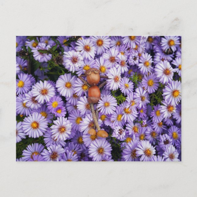 Akorn elf i blomstervykortet vykort (Framsida)