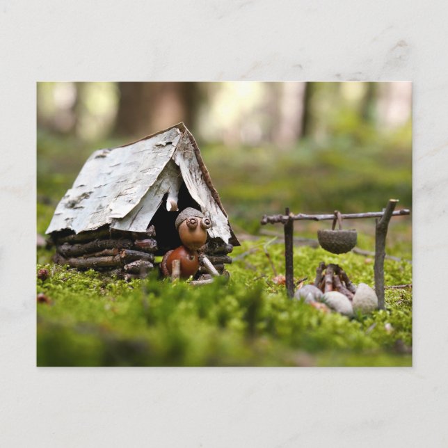 Akorn Elf i tält på campingplatsen Vykort (Framsida)