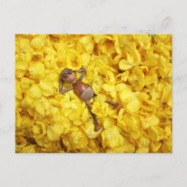 Akorn elf i vykort för löv i blomman