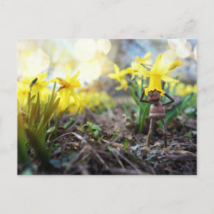 Akorn elf med vykort för daffodilblomma vår