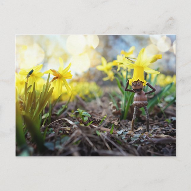 Akorn elf med vykort för daffodilblomma vår (Framsida)