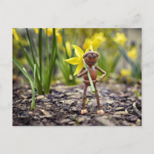 Akorn elf med vykort för daffodilblomma vår