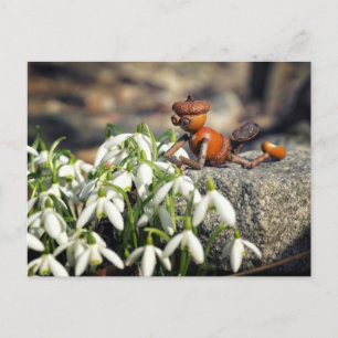 Akorn elf med vykort för snöflingblomma vår