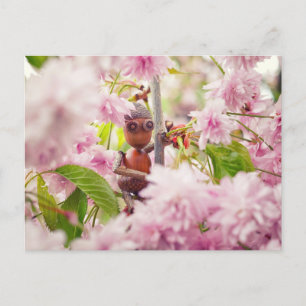 Akorn Elf på vykortet blommar sakura träd Vykort