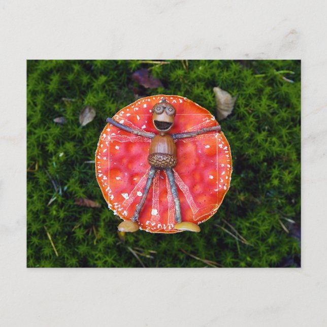 Akorn nves, som Leonardo, som lägger på svampen Vykort (Framsida)