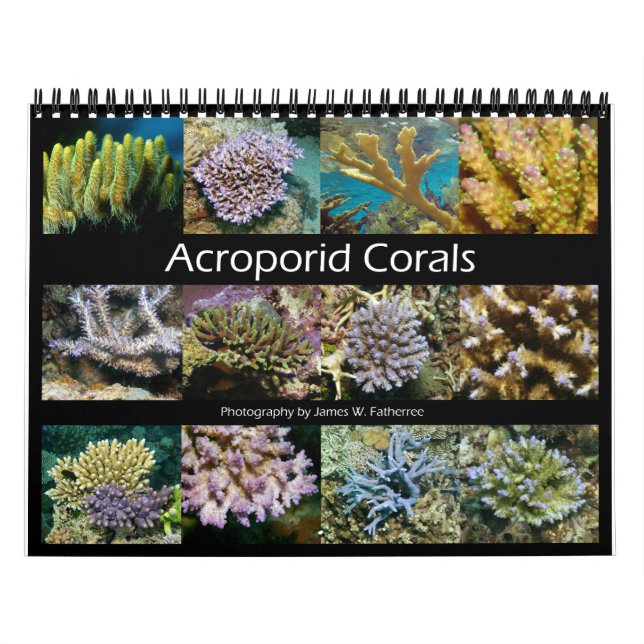 Akroporid korallväggkalender av J.W. Fatherree. Kalender (Omslag)