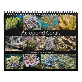 Akroporid korallväggkalender av J.W. Fatherree. Kalender