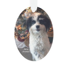 Akrylgod julprydnad, gullig hund