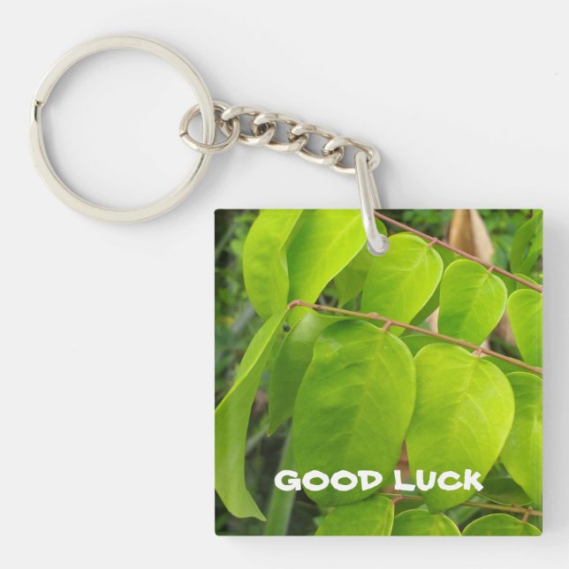 Akrylnyckelkedja med natur (Framsidan)