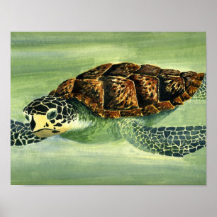 akrylseaturtle poster