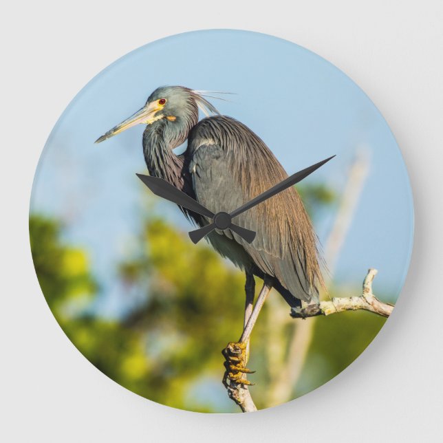 Akrylväggsklocka, rund Perfekt (stor) Stor Klocka (Framsida)