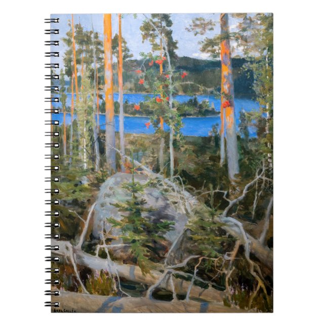 Akseli Gallen-Kallela - Sjö i Wilderness Anteckningsbok (Framsidan)