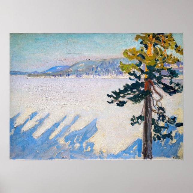 Akseli Gallen-Kallela - Sjö Ruovesi in Winter Poster (Framsidan)