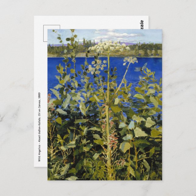 Akseli Gallen-Kallela - Vild Angelica Vykort (Fram/baksida)