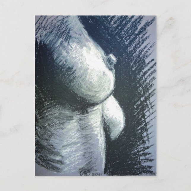 Akt, Frau Vykort (Framsida)