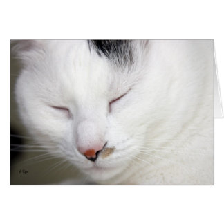 Äkta 2 tomma hälsningskort