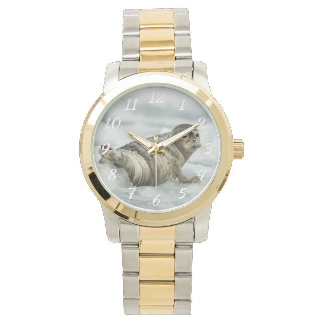 Äkta Baby Seal Armbandsur (Framsida)