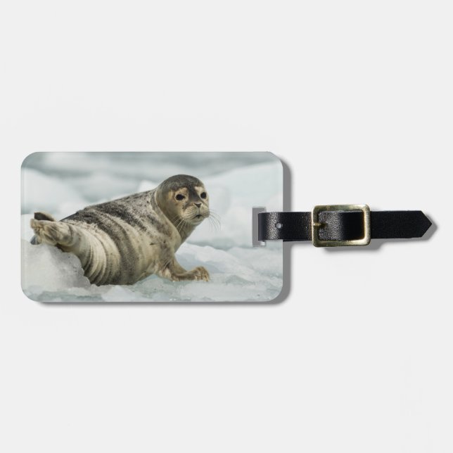 Äkta Baby Seal Bagagebricka (Horisontell Framsida)