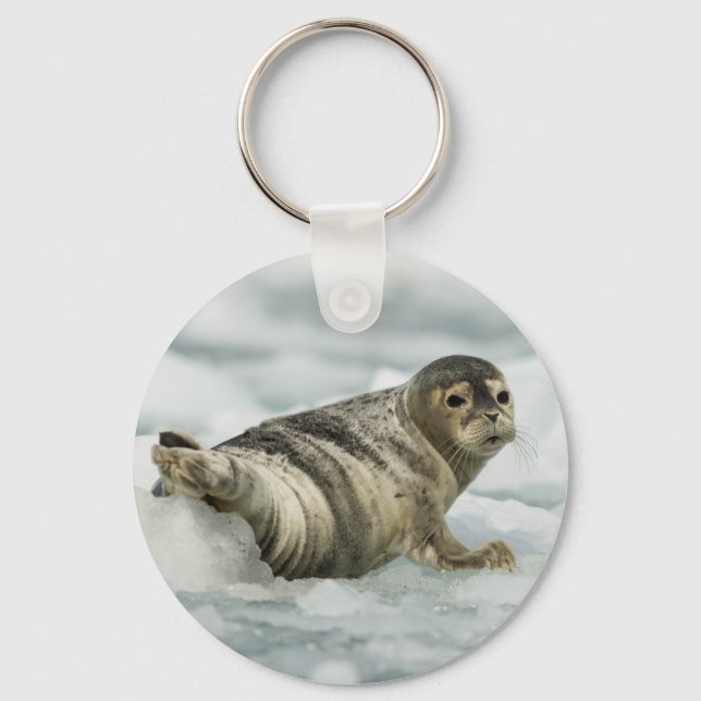 Äkta Baby Seal Nyckelring (Framsida)