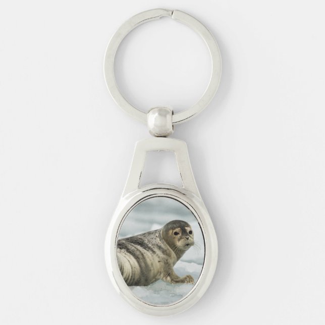 Äkta Baby Seal Ovalt Silverfärgad Nyckelring (Framsidan)