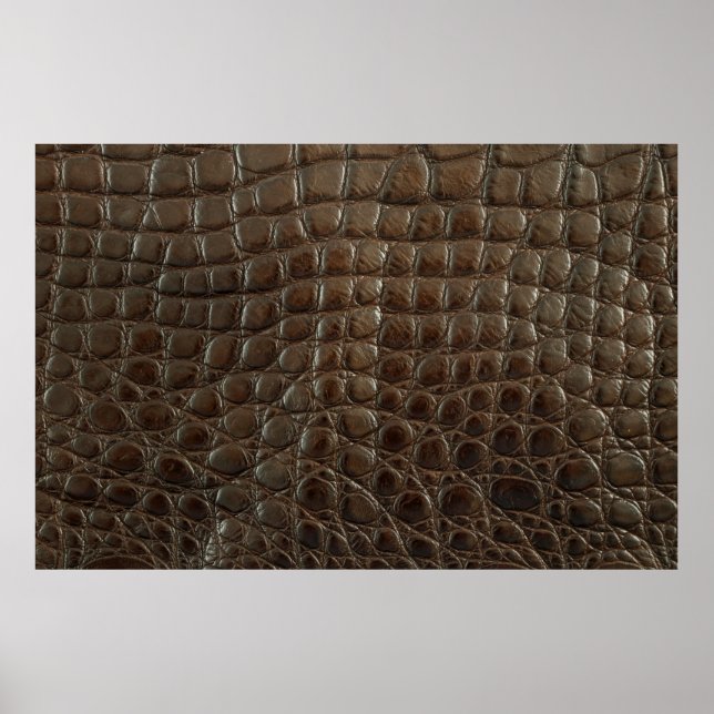 Äkta brunt alligator-läder, nära att visa poster (Framsidan)