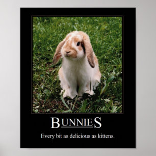 Äkta Bunnies! Poster
