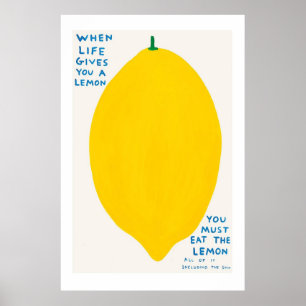 Äkta David Shrigley poster: När Life Ge du Poster