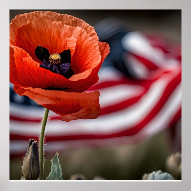 Äkta dem som gav alla poster (Framsidan)