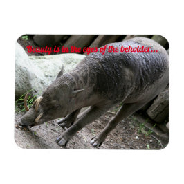 Äkta djur, Babirusa Magnet