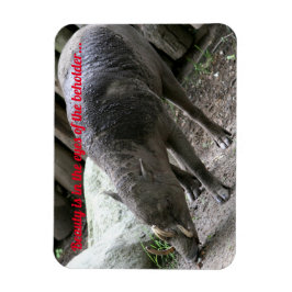 Äkta djur, Babirusa Magnet