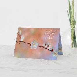 Äkta japanska Apricot Flowers Tack Kort