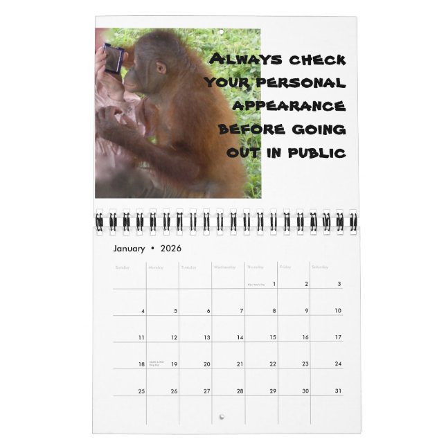 äkta kärlek: Hur ska vi möta drömmarens man? Kalender (Jan 2026)